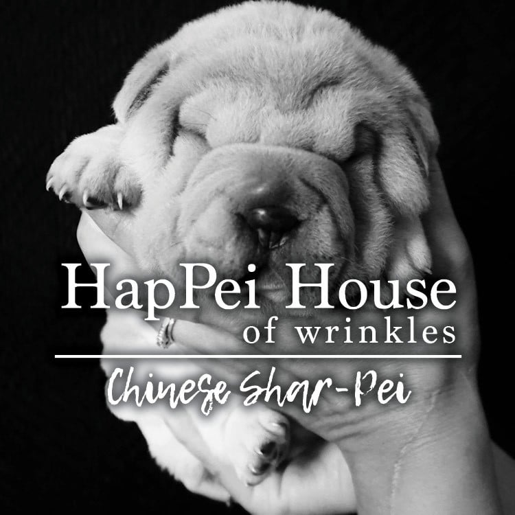 happei house fb profile