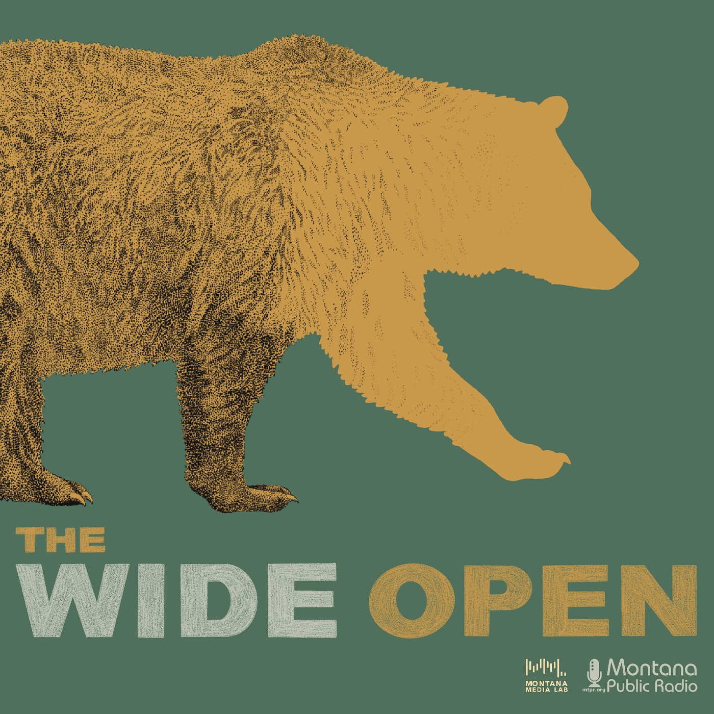 wide-open-logo