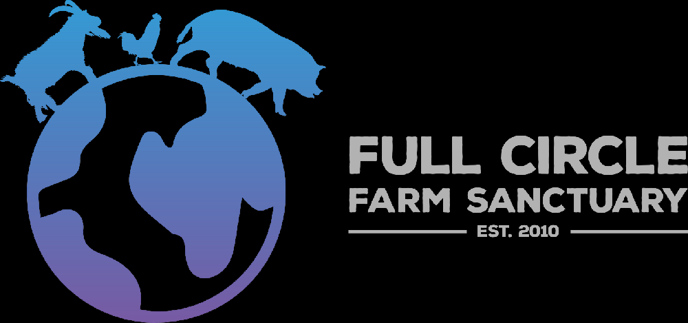 FCFS HiRes Logo-GradientHorizontal
