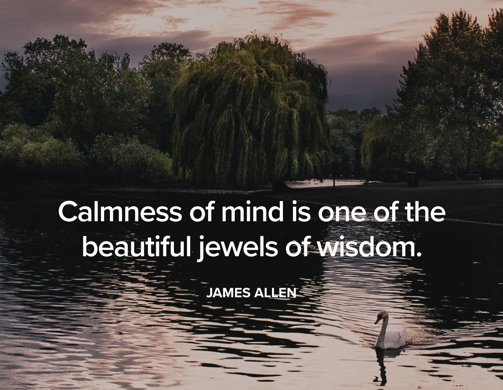 calmnessofmind